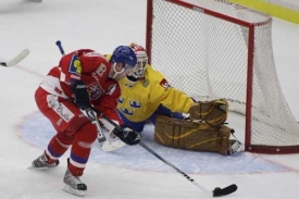 Josef Vašíček před vstřelenou brankou.