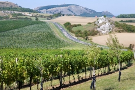 Jihomoravská vinařská oblast je přirovnávána k francouzské Provence.